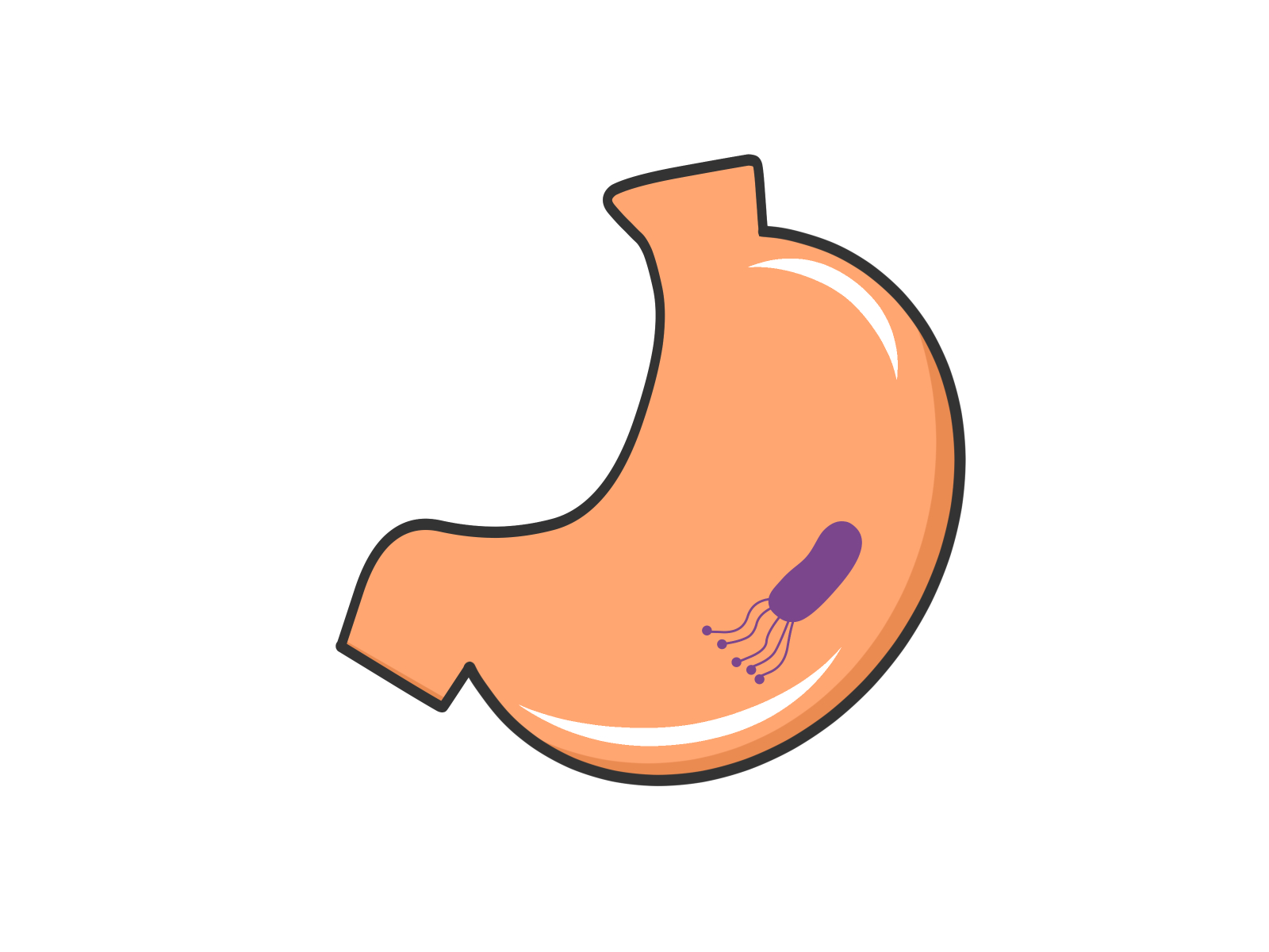 札幌駅でピロリ菌検査を受けるなら